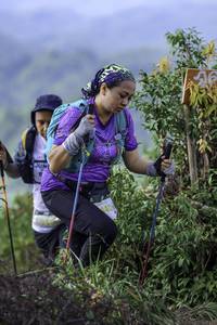 BIB: 
                            <button type="button" onclick="openModal(24769653)" class="btn btn-primary btn-sm float-right btn-popup" data-toggle="modal" data-target=".modal-high-quality">
                        <i class="fas fa-shopping-cart"></i> Add to Cart
                    </button>
                                            <button type="button" onclick="isThisMe(24769653, true)" class="btn btn-success btn-sm float-right btn-popup btn-isme hidden" data-toggle="tooltip" data-placement="bottom" title="นี่คือรูปของคุณใช่ไหม คลิกที่นี่เพื่อเอาเข้าอัลบั้ม">
                        <i class="fas fa-plus"></i> Add to album
                    </button>
                    <button type="button" onclick="isThisMe(24769653, false)" class="btn btn-warning btn-sm float-right btn-popup btn-isnotme hidden">
                        <i class="fas fa-ban"></i> Remove from album
                    </button>